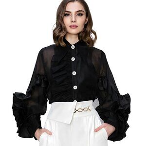 Black Ruffled Sleeves Chiffon Top